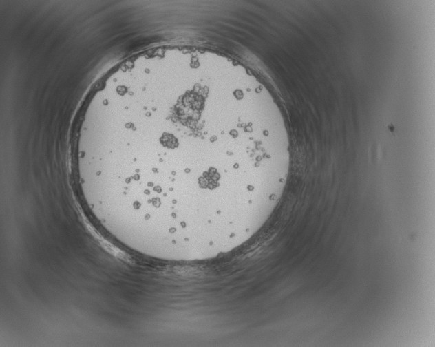 X0000060271095200511241448