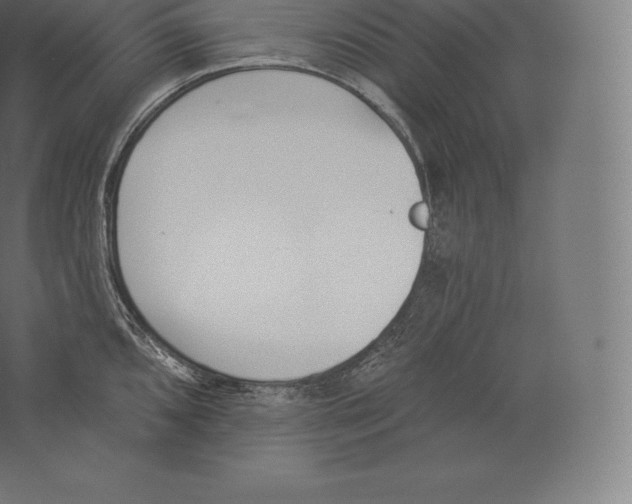 X0000060271096200511241448