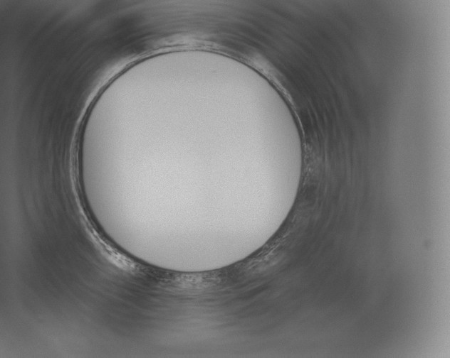 X0000060271098200511241448