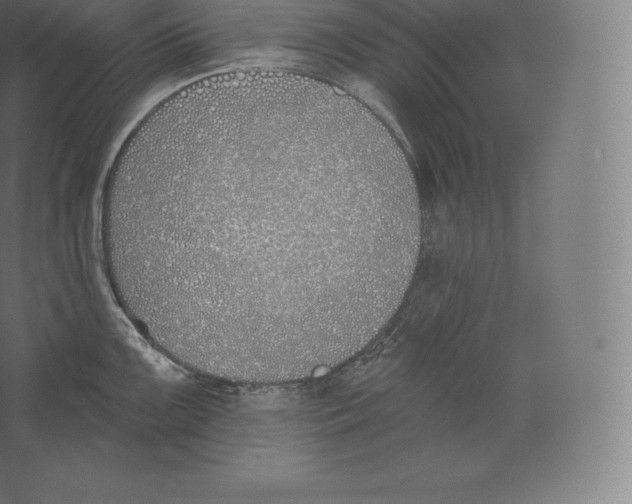 X0000060271099200511241448