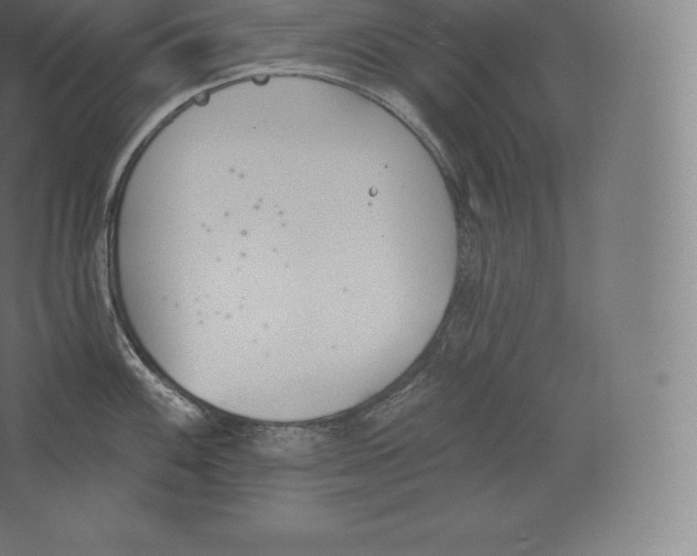 X0000060271100200511241448