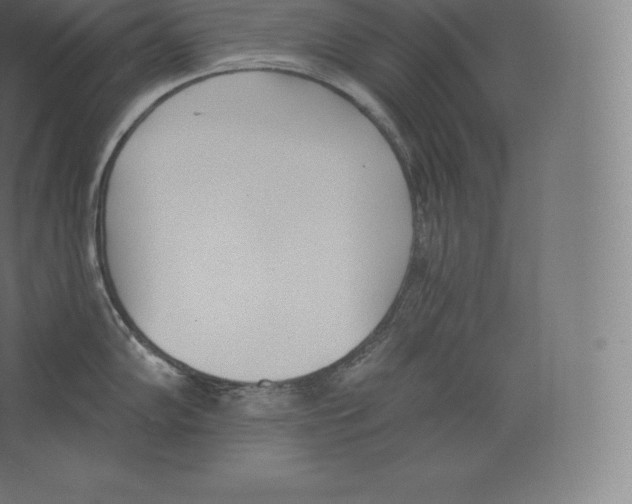 X0000060271102200511241447