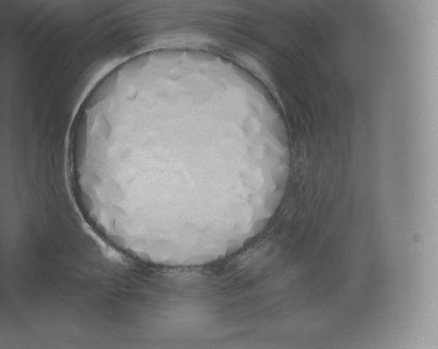 X0000060271103200511241447