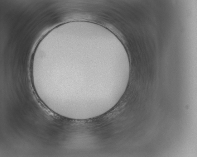 X0000060271104200511241447