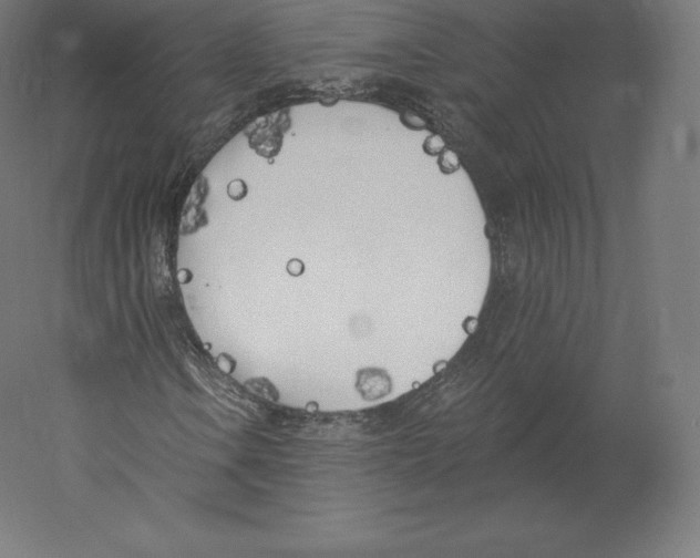 X0000060271106200511241447