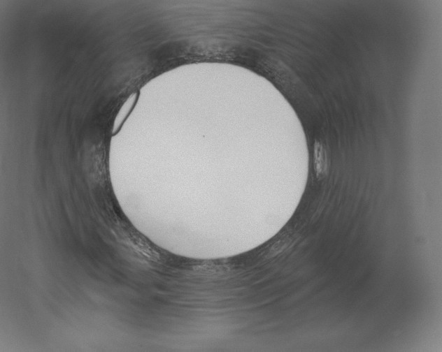 X0000060271107200511241447