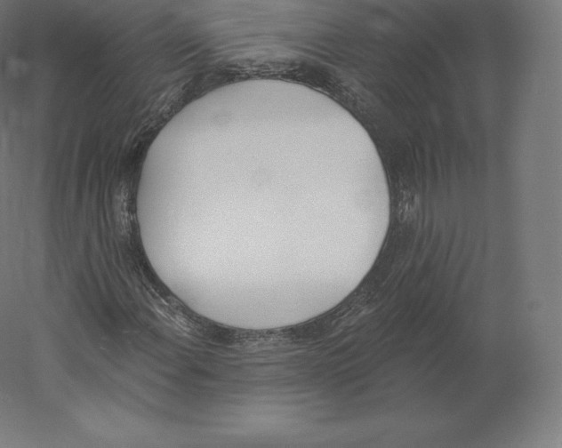 X0000060271108200511241447