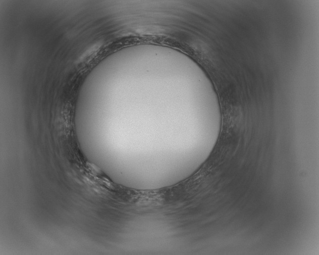 X0000060271110200511241447