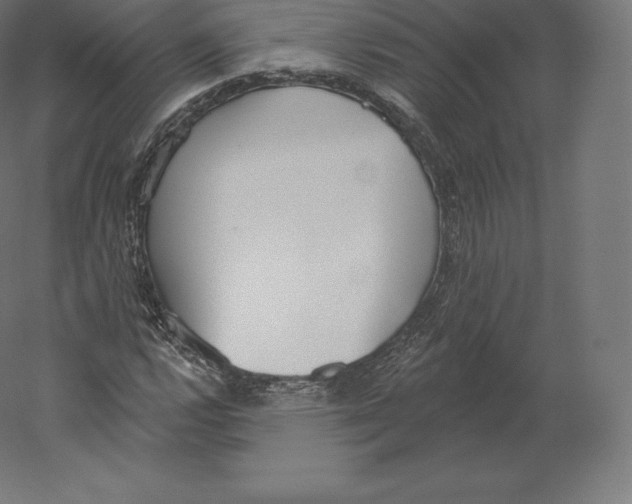 X0000060271112200511241447