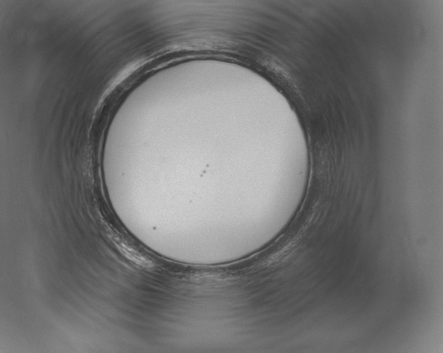 X0000060271114200511241447