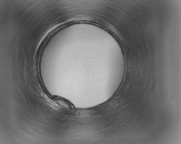 X0000060271116200511241447