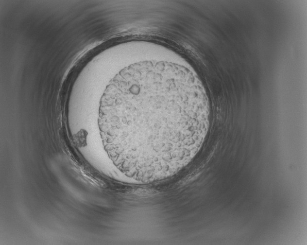 X0000060271117200511241447