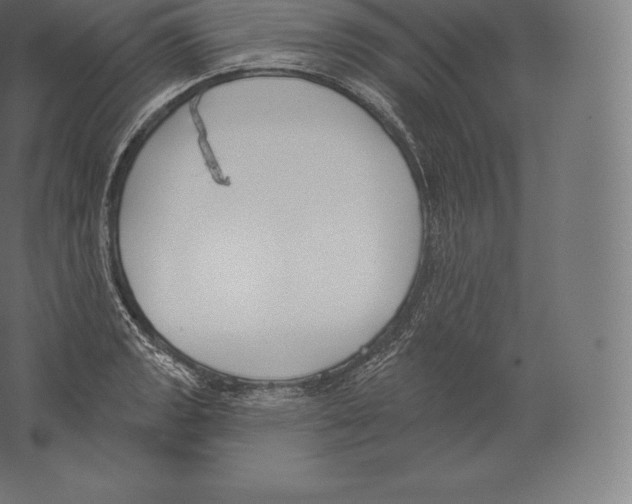 X0000060271133200511241447