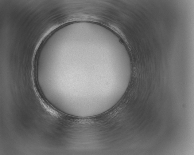 X0000060271136200511241447