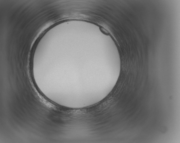 X0000060271139200511241447