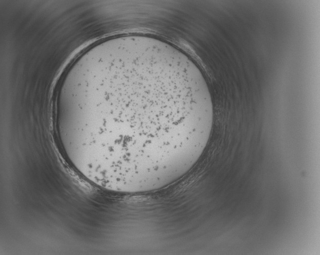 X0000060271140200511241447