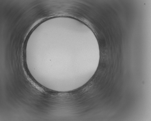 X0000060271142200511241447