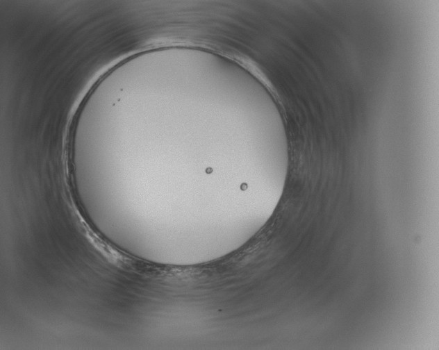 X0000060271148200511241447