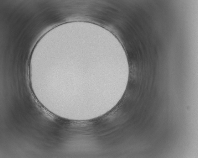 X0000060271150200511241447