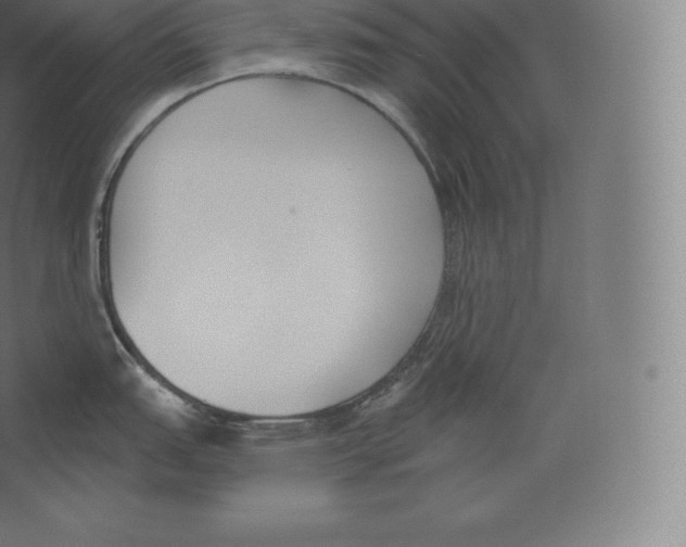 X0000060271151200511241447