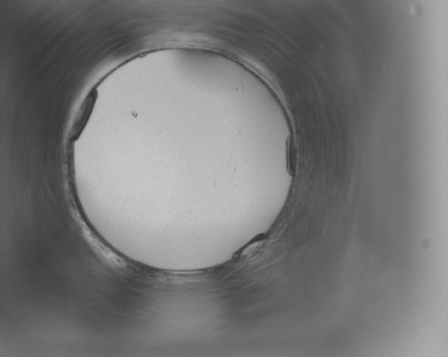 X0000060271152200511241447