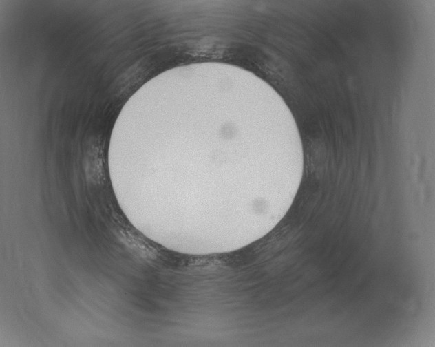 X0000060271154200511241447