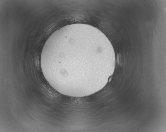 X0000060271155200511241447