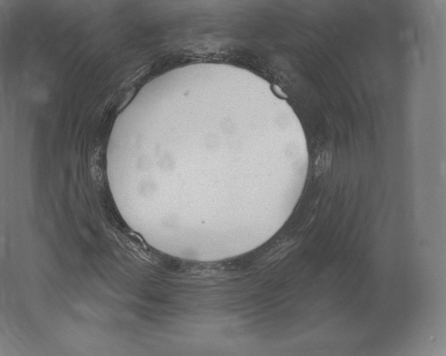 X0000060271156200511241447