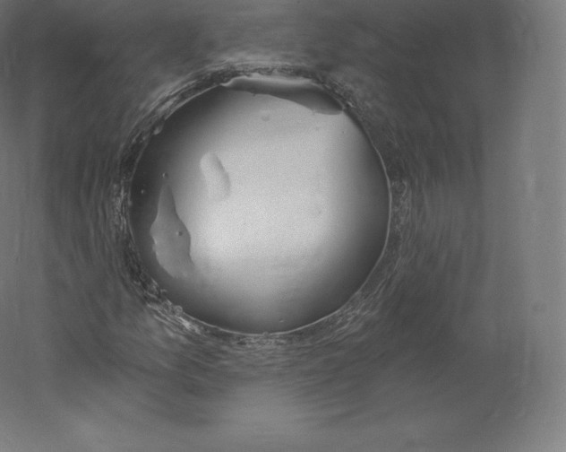 X0000060271157200511241447