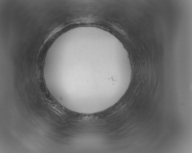 X0000060271160200511241446