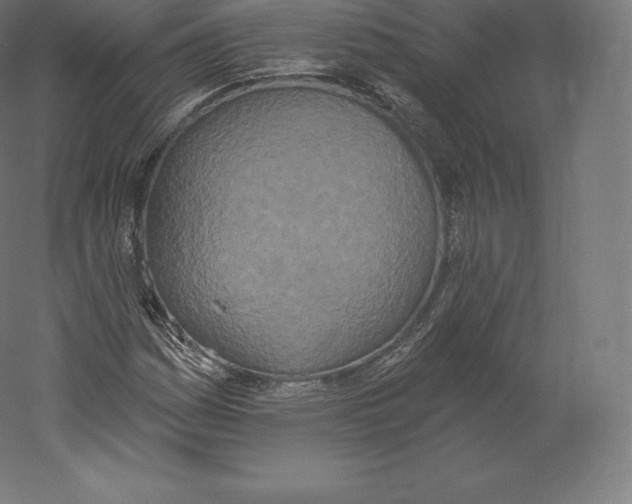 X0000060271161200511241446