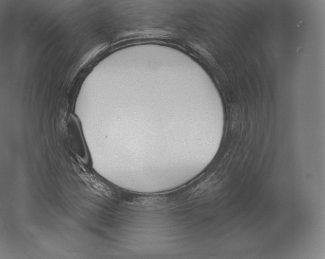 X0000060271163200511241446