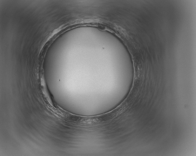 X0000060271165200511241446