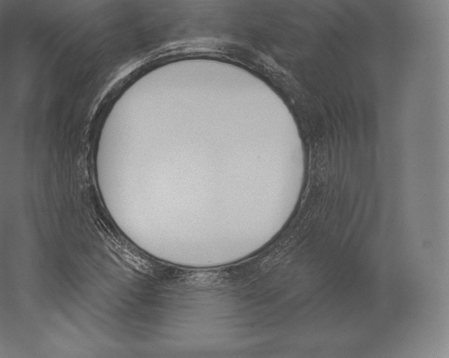 X0000060271166200511241446