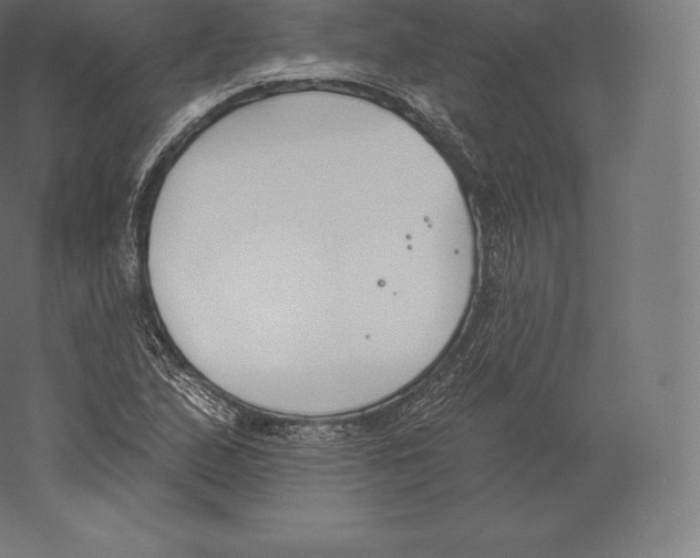 X0000060271167200511241446