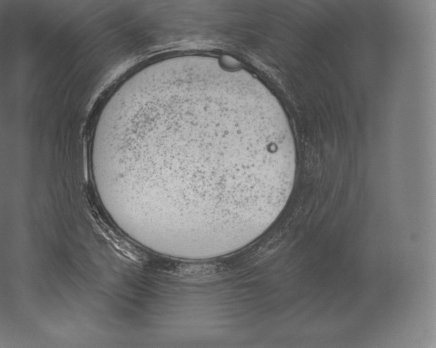 X0000060271171200511241446