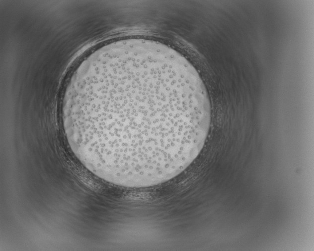 X0000060271174200511241446