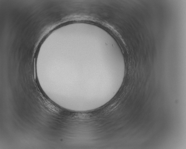 X0000060271175200511241446