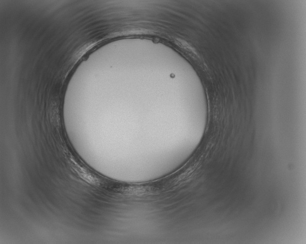 X0000060271177200511241446