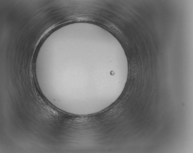 X0000060271182200511241446