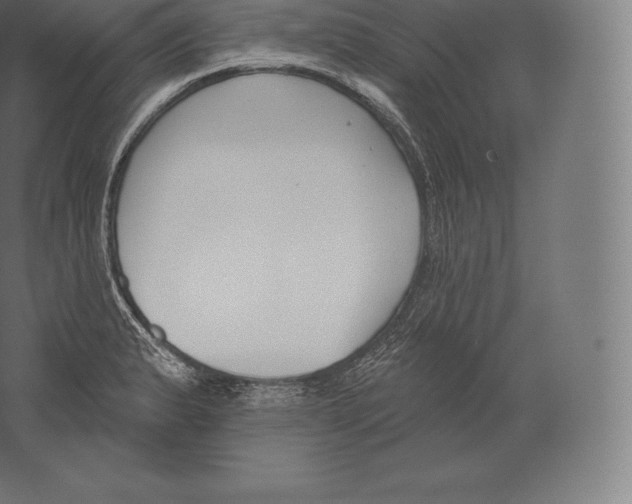 X0000060271183200511241446