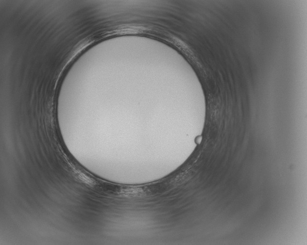 X0000060271186200511241446