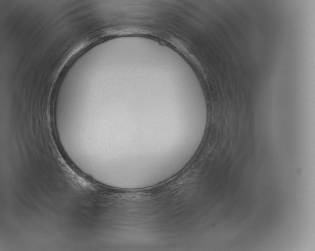 X0000060271189200511241446