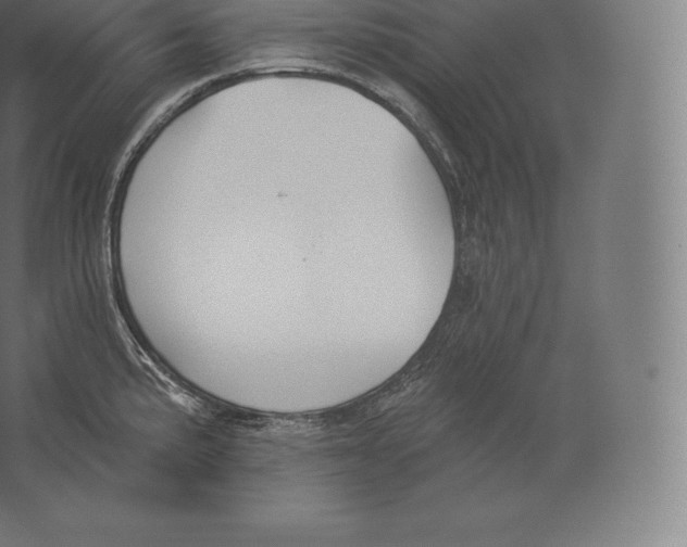 X0000060271191200511241446