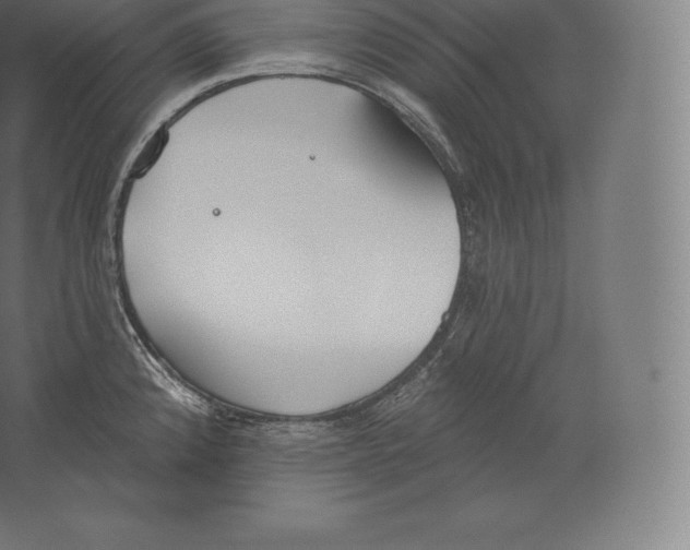 X0000060271192200511241446