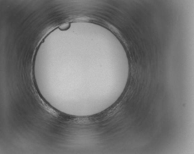 X0000060271194200511241446