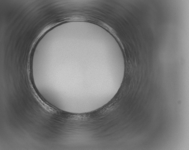 X0000060271195200511241446