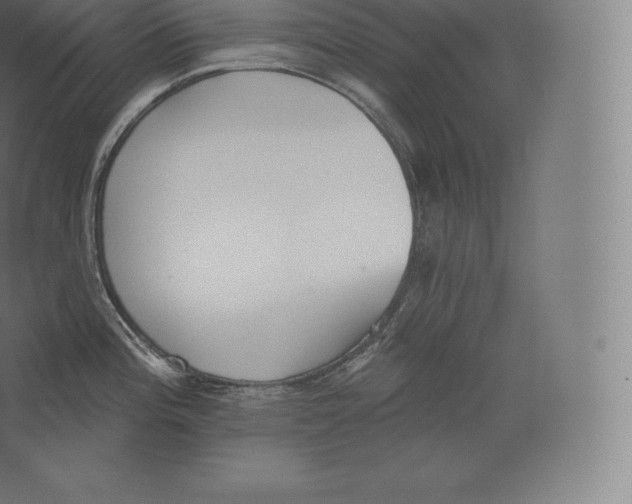 X0000060271196200511241446