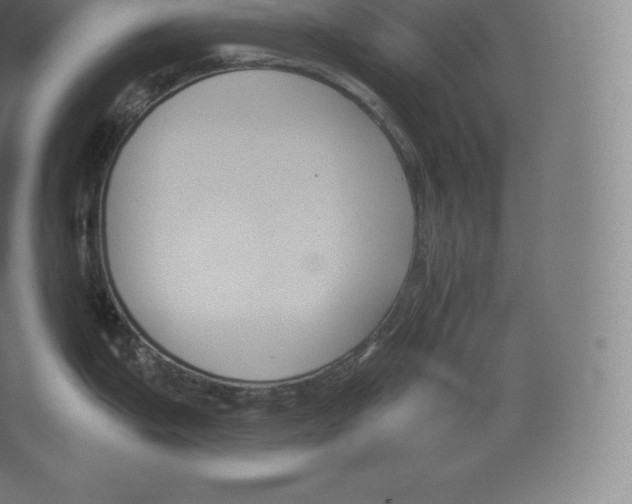 X0000060271199200511241446