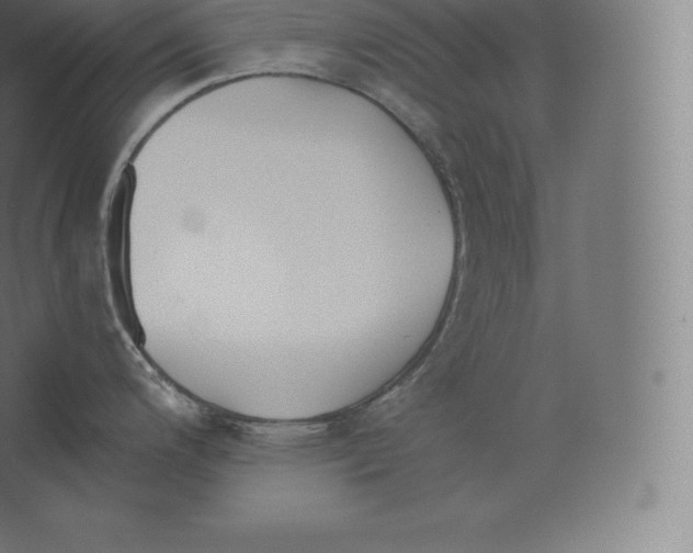 X0000060271200200511241446